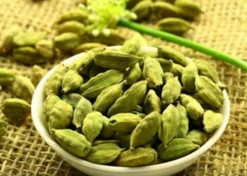 GIR ORGANICS PREMIUM ELAICHI (इलाइची)
